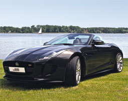 Jaguar F-Type V8 S Roadster fahren in Brandenburg (1 Tag)