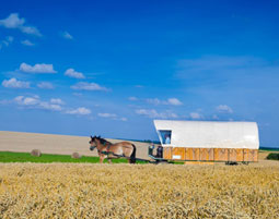 Familienurlaub im Planwagen (4 Tage)