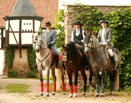 Reiter-Kurzurlaub im Suedharz fuer 2
