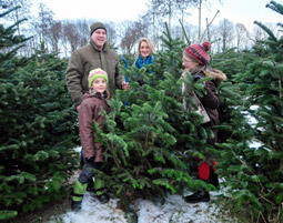Weihnachtsbaum faellen fuer 2