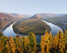 Weinberg-Klettersteig an der Mosel