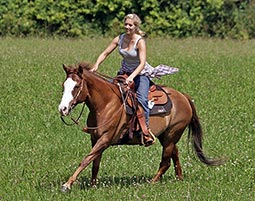 Einsteiger-Reitwochenende in Krems fuer 2