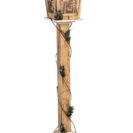 Beste Geschenke 2025 | Geschenkempfehlungen 13 LED Deko-Objekt Laterne