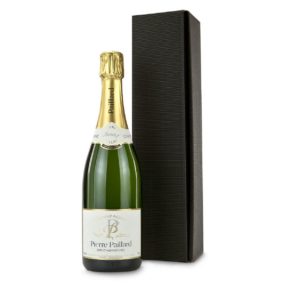 Ein hochwertiger Champagner - immer ein exklusives Präsent - Eine 0,75l Flasche der Marke Pierre Paillard - verpackt im Geschenkkarton. Maße: ca. L31 x B22 x H13 cm. Zutaten: Pierre Paillard Champagne Alkohol: 12% vol.. Allergiehinweis: Enthält Sulfite<br>