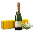Geschenk-Set, Crémant de Loire Brut Blanc, 1 Flasche Wein