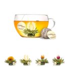 Nachfüllset Erblüh-Teelini Weißer Tee/Mix, 8-tlg, 4 Sorten