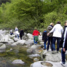 Flussbettwanderung im Murgtal