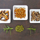 Snack Insects Kochkurs in Hamburg