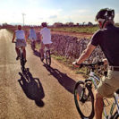 Mountainbike-Tour & Weinverkostung auf Mallorca