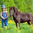 Pony-Wanderung fuer Kinder Raum Bad Kreuznach