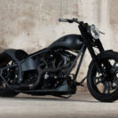 Walz Hardcore Custom-Bike fahren (1 Tag)