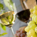 Weinseminar &apos,Deutsche Weine&apos,