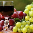 Beste Geschenke 2025 | Geschenkempfehlungen 5 Weinsensorik Seminar bei Mainz
