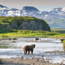 Alaska Entdeckerreise (9 Tage)