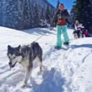 Beste Geschenke 2025 | Geschenkempfehlungen 11 Schneeschuh-Trekking mit Huskys am Walensee