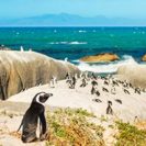 Suedafrika-Abenteuerreise (12 Tage)