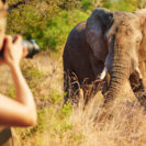 Beste Geschenke 2025 | Geschenkempfehlungen 3 Suedafrika Luxus Self-Drive & Safari (4 Tage)