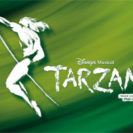 Tarzan-Musical & Uebernachtung Oberhausen fuer 2