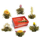 6er Box ErblühTee Weißtee, 6 Teeblumen in 6 Variationen