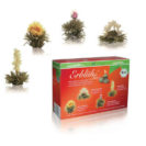 8er Pack Bio ErblühTee Weißtee, 8 Teeblumen in 4 Variationen