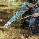 Fliegenfischen im Wettersteingebirge