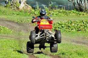 Wenn die Wildnis ruft, antworten Sie mit dem Roehren der Quad Motoren!