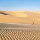 Erlebnisreise durch Namibia für Zwei