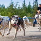 Finnland Actionreise für 2 (4 Tage)