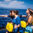 Azoren Erlebnisreise für 2 mit Wal-Tour (5 Tage)