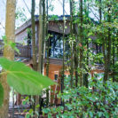 Auszeit im Baum-Chalet in Neuss für 2