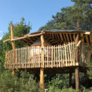 Uebernachtung im Baum-Bett & Dinner-Show in der Oberlausitz fuer 2