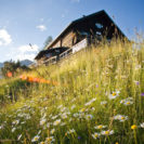 Berghuetten-Uebernachtung in der Steiermark fuer 2