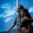 Beste Geschenke 2025 | Geschenkempfehlungen 18 Kurztrip Berlin mit Sea Life, Aquadom und Madame Tussauds für 2 (2 Tage)