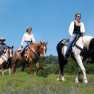 Ein Tag auf dem Reithof