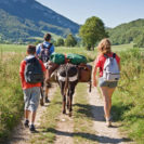 Beste Geschenke 2025 | Geschenkempfehlungen 11 Gefuehrte Eselwanderung fuer Familien im Sauerland