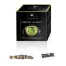 exquisiTea green 12er Pack