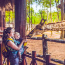 Frühstück & Zoobesuch Leipzig für 2