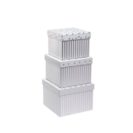 Geschenkbox-Set Silver Shine, 3-tlg