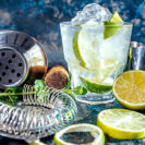 Gin Seminar