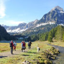Husky-Trekking am Walensee