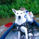 Kanufahrt und Hunde Trekking in Büren