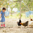 Kindertag am Bauernhof in Wiener Neustadt