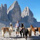 Lama Trekking mit Uebernachtung in den Drei Zinnen