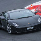 Lamborghini Gallardo fahren in Monza