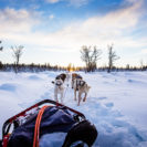 Lappland Aktivurlaub mit Flug (4 Tage)