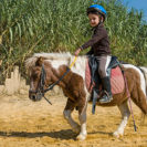 Ponyreiten fuer Kindergeburtstage