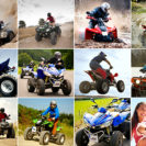 Quad Wahlgutschein