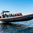 1050 PS Power-Schlauchboot fahren Raum Insel Fehmarn
