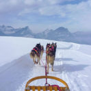 Schlittenhunde-Tageskurs am Walensee