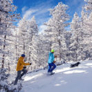 Schneeschuh-Tour mit dem eigenen Hund